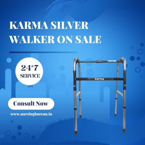 Aluminum Karma Silver Walker