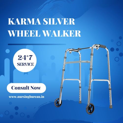 Karma Silver Wheel Walker