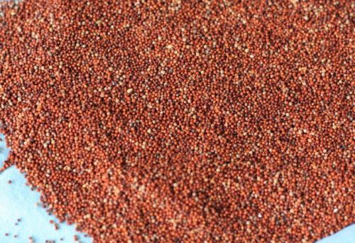 Finger Millet (Ragi), Packaging Type : Packet