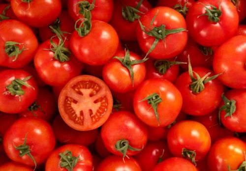 Fresh Tomato, Color : Red, Packaging Size : 5Kg