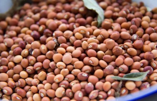 Pigeon Peas (Toor/Tuvar Dal), Packaging Type : Bag
