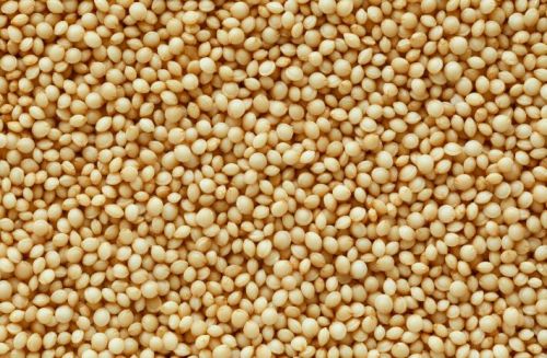 Sorghum (Jowar), Packaging Type : Varies