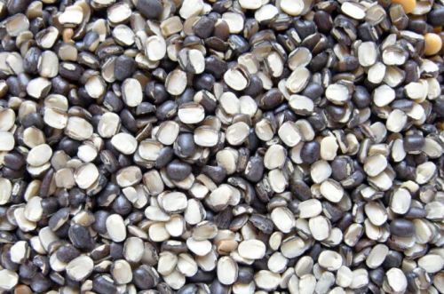 Split Black Gram (Urad Dal), Packaging Type : Packet