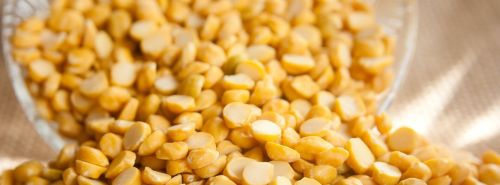 Chana Dal, Color : Yellow, Speciality : Rich Source Of Protein Fiber
