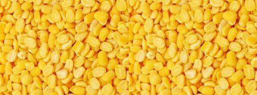 Moong Dal, Speciality : Rich Source Of Protein, Iron, Fiber