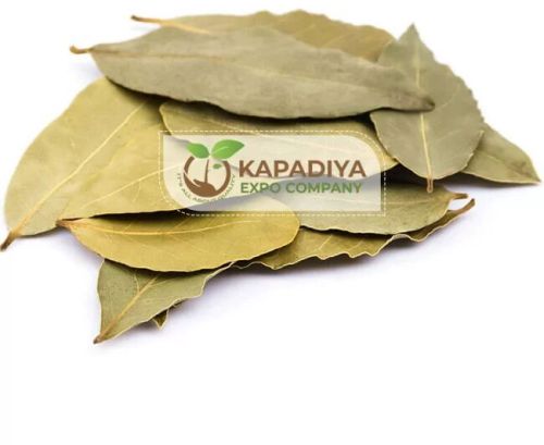 Bay Leaves, Speciality : Adds Flavor To Dishes