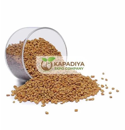 Fenugreek Seed, Packaging Type : Plastic Packet For Spices