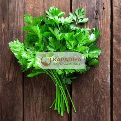 Fresh Parsley Leaves, Packaging Type : Bunch