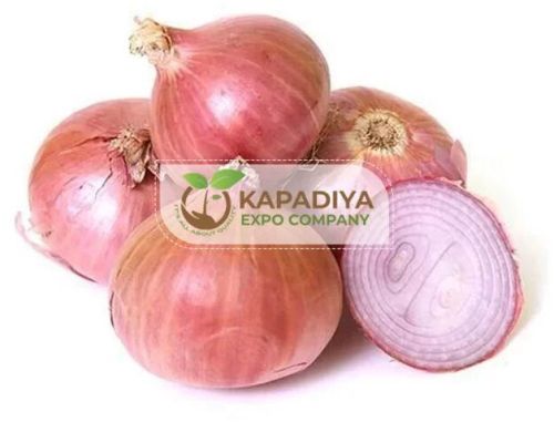 Fresh Pink Onion