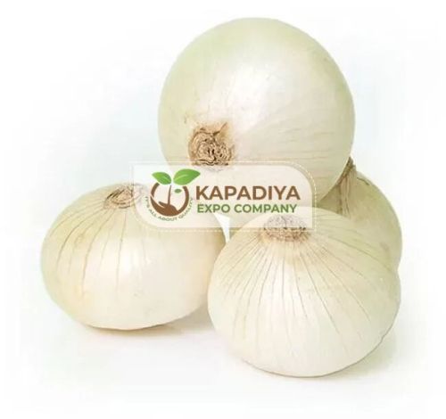 Fresh White Onion, Packaging Type : Loose