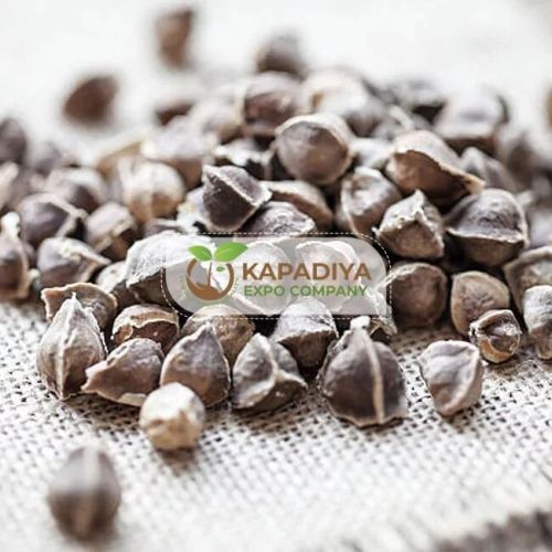 Moringa Seed, Packaging Type : Pouch