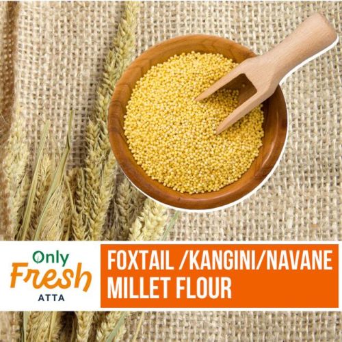 Foxtail Millet Flour, Speciality : Rich In Nutrients, Gluten-free