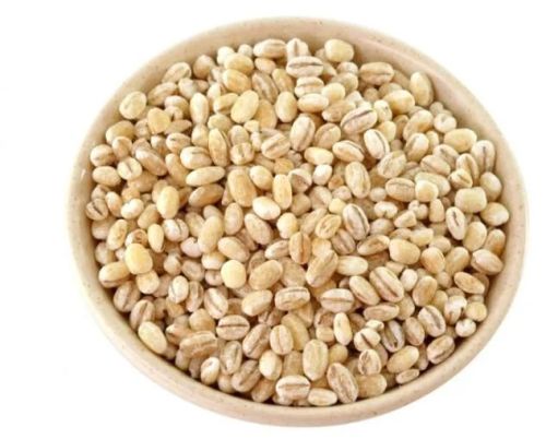 Barley, Packaging Size : 1Kg, 5Kg, 10kg, 20kg