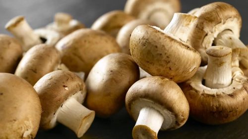 Mushroom for Cooking, Restaurant