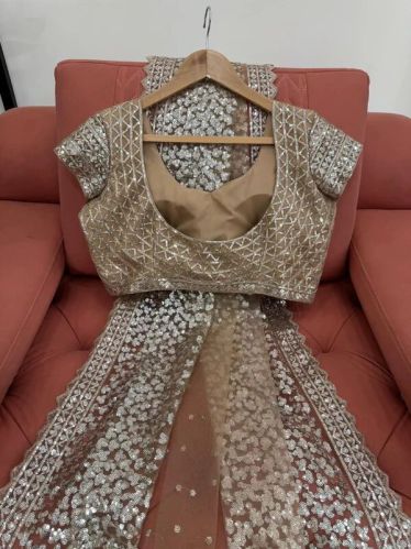 Organza Silk Beige Shade Shimmery Seauins Work Saree