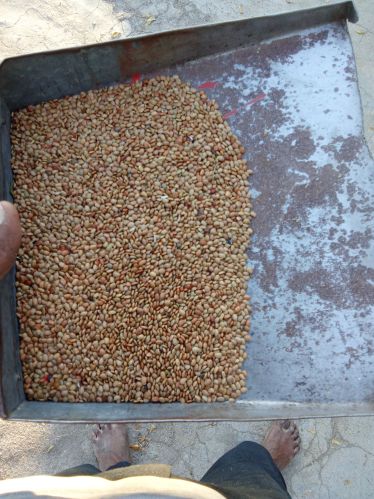 Organic horse gram, Packaging Type : Brown