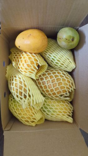 EPE Fruit Foam Net, Weave Style : Plain Weave For Packaging Use