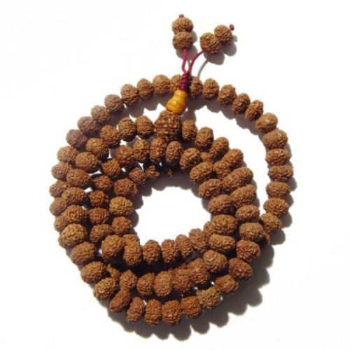 8 Mukhi Rudraksha Mala 10mm