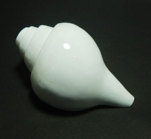 Conch Shell Blowing Shankh