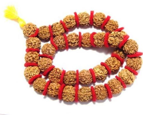 Rudraksha Kantha Mala