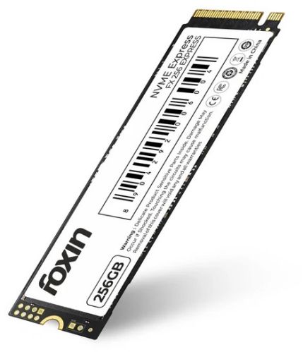 Foxin FX 256 GB EXPRESS NVME SSD