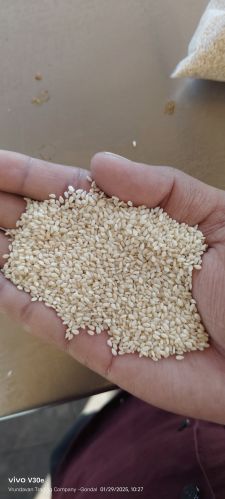 Natural Hulled Sesame Seeds, Packaging Size : 25kg 9%