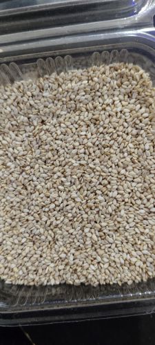 Organic Natural Sesame Seeds, Packaging Type : Brown for Cooking