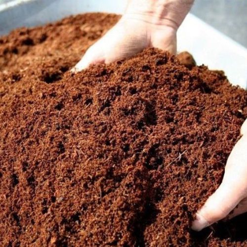 Nop Coco Peat Compost, Color : Dark-brown, Packaging Type : Bag