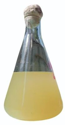 Nop Potash Mobilizing Bacteria Liquid, Packaging Type : Bottle, Can