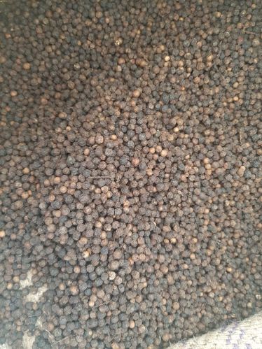 Medu Aromatic Natural Raw Black Pepper Seeds
