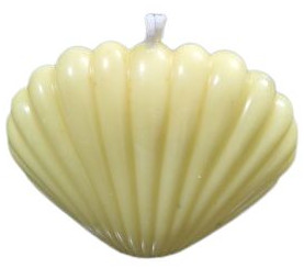Plain Glossy Soy Wax Sea Shell Aromatic Candle, Color : Multicolor