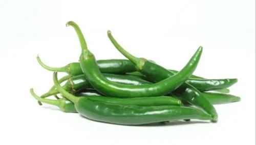 Organic Fresh Green Chilli, Packaging Size : 5-25kg for Cooking