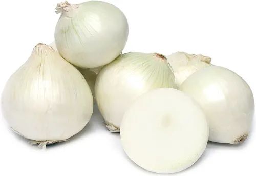 Fresh White Onion, Speciality : Rich In Taste, Healthy