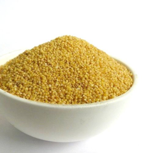 Organic Foxtail Millet Rice, Color : Yellow, Packaging Size : 5-25kg