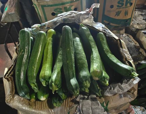 Green zucchini, Quality Available : A Grade