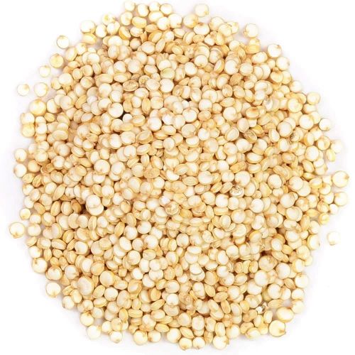 Organic Quinoa Seeds, Color : Creamy 10%, Purity : 100%