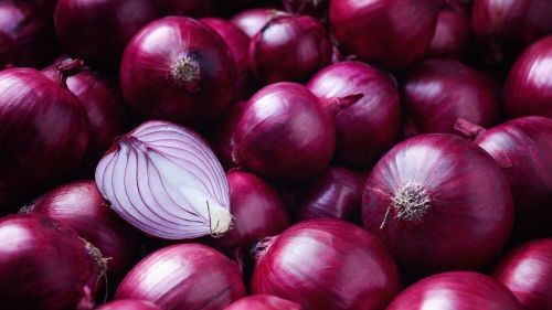 Fresh red onion, Packaging Size : 50Kg Gunny Bag