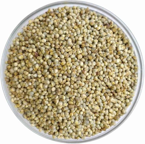 Organic Pearl Millet Seeds, Color : Light Green Dried