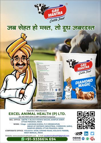 Cattle Feed ( Gau Mantra ) Diamond