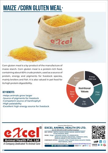 EXCEL Corn Gluten Feed, Color : Yellow, Packaging Type : PP Bag