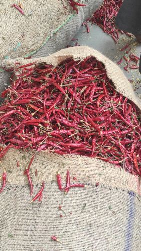 Dry Red Chilli, Packaging Size : 50Kg for Spices