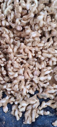 Natural Medium Super Quality Ginger, Color : Brown