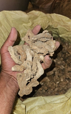 SO2 Free Himachal Powder Quality) Moisture Content 12-14