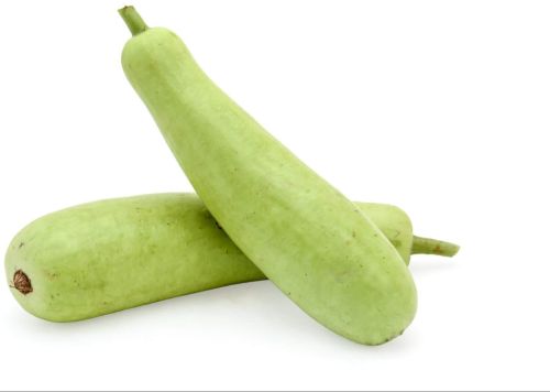 Fresh Bottle Gourd, Color : Green, Packaging Size : 20 Kg