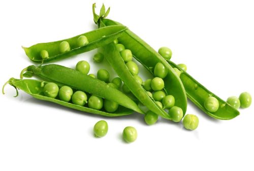 Natural Fresh Green Peas, Packaging Size : 20 Kg for Cooking