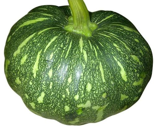 Fresh Green Pumpkin, Packaging Size : 20 Kg for Cooking