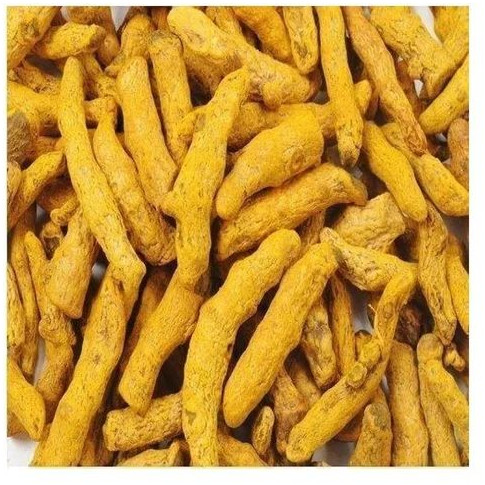 Organic Turmeric Finger For Cooking, Spices, Cosmetics