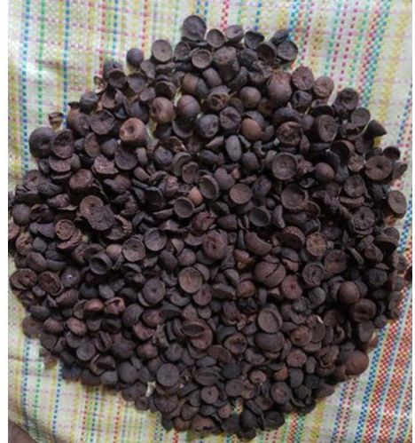 Common Betel Nut Black Current Supari, Taste : Light Sweet