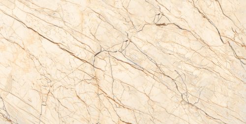 600X1200mm DR Carving Sofitel Gold Marble