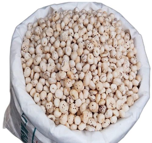 A Grade Makhana, Color : White, Packaging Type : Plastic Packet, Packaging Size : 5-25kg